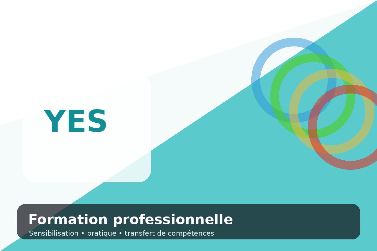 Formation professionnelle